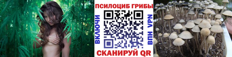 Галлюциногенные грибы MAGIC MUSHROOMS маркетплейс формула Вольск закладка